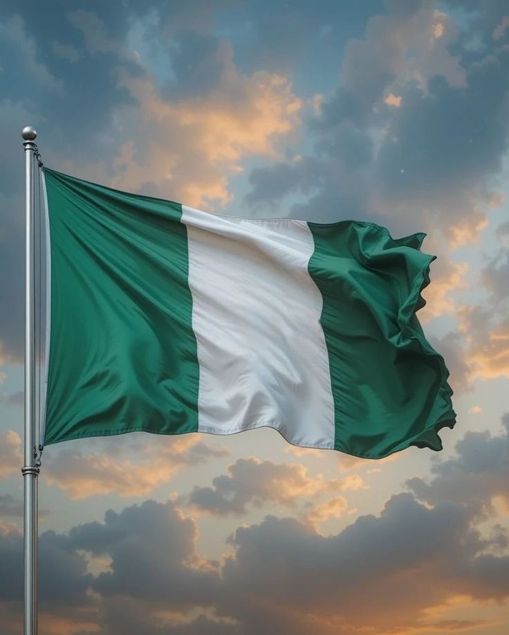 Nigerian flag with digital network representing digital sovereignty and homegrown technology platforms serving the nation