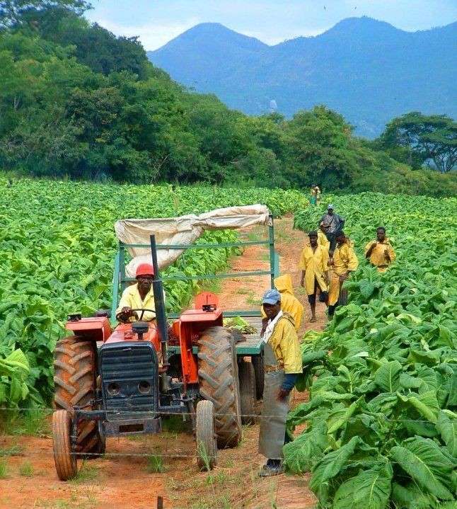 reforming Nigeria agricultural governance policy
reform